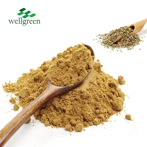 What are the Benefits of Fennel Seed Extract Powder?